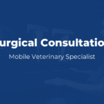MVS - Surgical Consultation Product Image